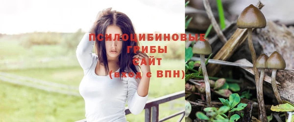 меф Зеленокумск