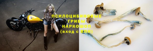 герыч Зеленодольск