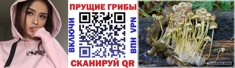 Галлюциногенные грибы GOLDEN TEACHER закладки Инза